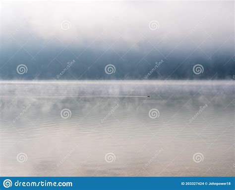 Forggensee with fog stock photo. Image of lake, scotland - 203327424