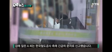 경춘선 지하철 음란행위 남성 논란 유머움짤이슈 에펨코리아