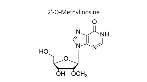 O Methylinosine Akonscientific