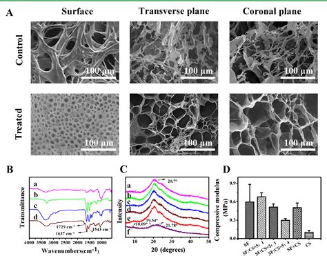 Figure 1 From A Novel 3D In Vitro Tumor Model Based On Silk Fibroin