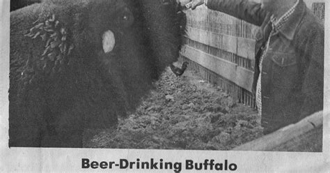 South Belt Houston Digital History Archive 1975 Beer Drinking Buffalo