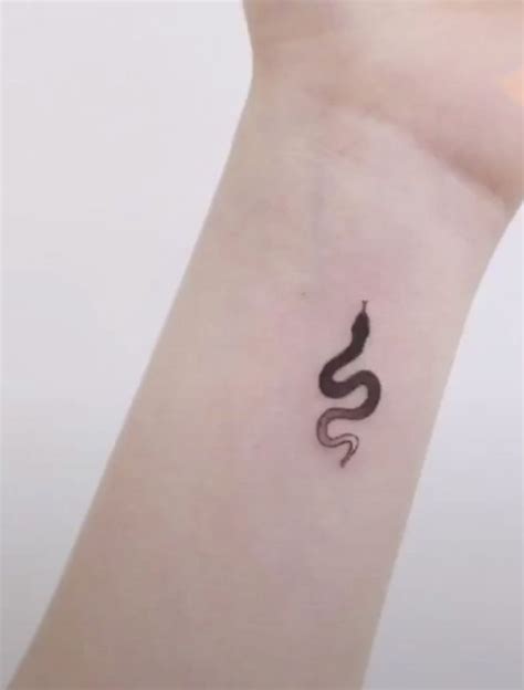 small snake tattoo | Small snake tattoo, Tattoos, Snake tattoo