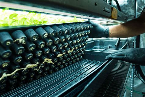 Feedchart Usage Guide General Hydroponics