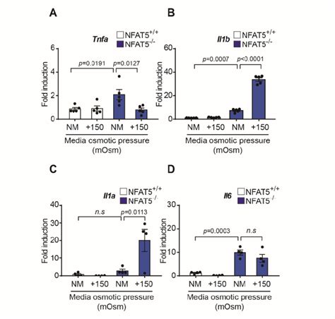 Changes In Inflammatory Cytokines To Hypertonic Conditions In Nfat Wt