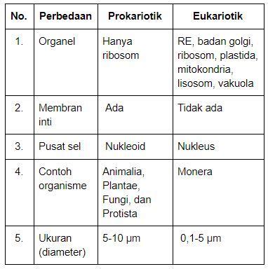 Perhatikan Tabel Perbedaan Prokariotik Dan Eukario