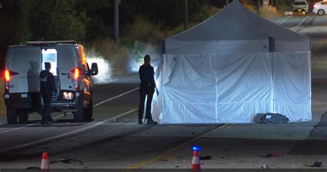 Driver In Fatal Hit And Run In Tarzana Surrenders To Police Daily News