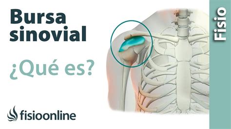 Bursa Sinovial Y Bursitis Qu Es Fisioterapia Online