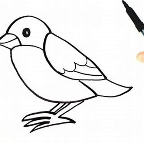 How do you draw a easy bird for kids? - DIY Seattle