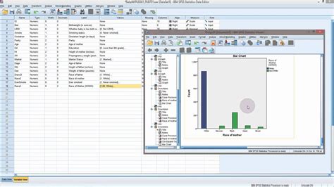 Week 8 Part 4 Recoding Categorical Variables In SPSS YouTube