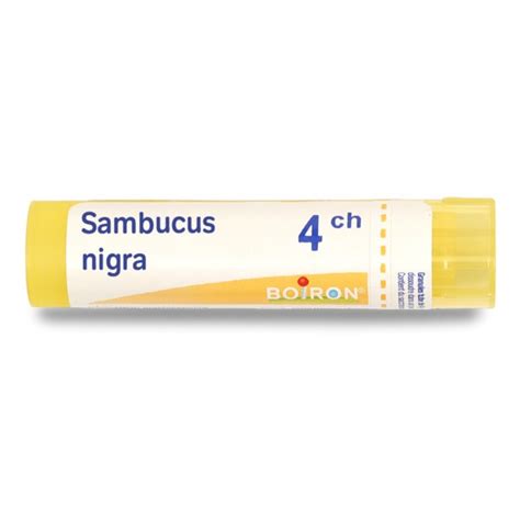 Sambucus Nigra Granules Hom Opathiques Du Laboratoire Boiron