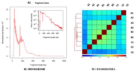 开放性染色质测序技术（atac Seq服务报价价格 上海伯豪生物技术有限公司生物芯片上海国家工程研究中心 实验技术服务 生物在线