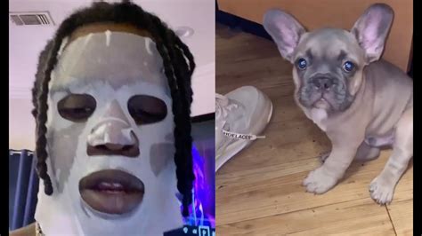 Chief Keef French Bulldog Puppy Is So Scared Of Him It Wont Stop