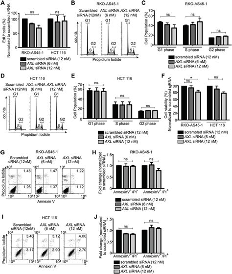 Silencing Axl In Human Colon Cancer Cells Does Not Decrease