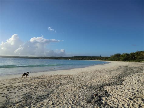 Beaches of Lifou island by fox4 on DeviantArt