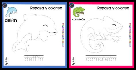 Tipos De Animales Portada Imagenes Educativas Images