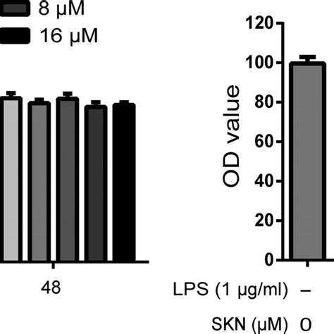 Effect Of Shikonin On The Activity Of Nucleus Pulposus Cells Induced By