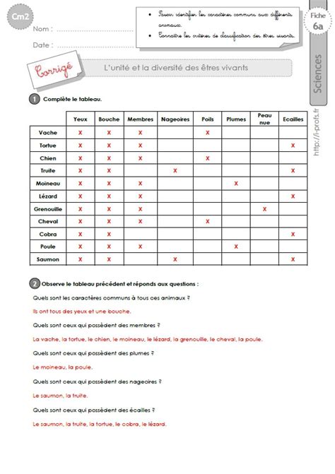 Cm Exercices Sur L Unit Et Diversit Des Tres Vivants 1560 Hot Sex Picture