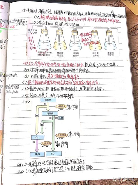 高中生物必修一笔记 知乎