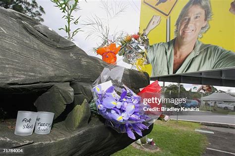 Steve Irwin Memorial Photos and Premium High Res Pictures - Getty Images