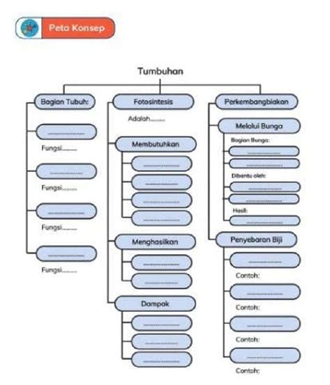 Peta Konsep Anatomi Tumbuhan Buku Nikah Imagesee The Best Porn Website