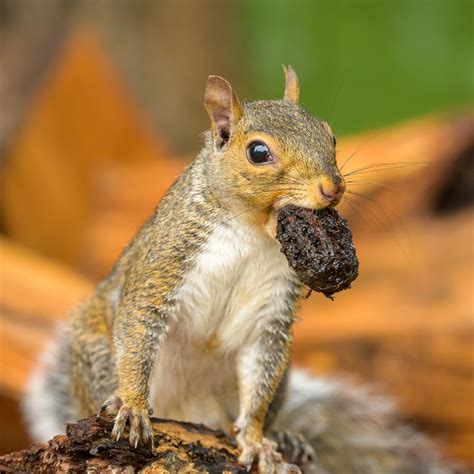 Lunch Bob Carissimi Flickr