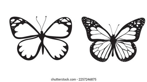 Monarch Butterfly Design Hand Drawn Daisy Stock Vector Royalty Free