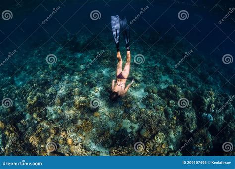 Woman In Bikini Dive To Corals Underwater In Tropical Sea Stock Image
