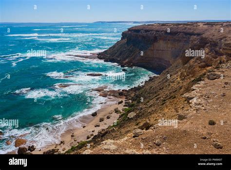 Sheer cliffs at Point Labatt SA Australia's only mainland breeding colony of Australian sea ...