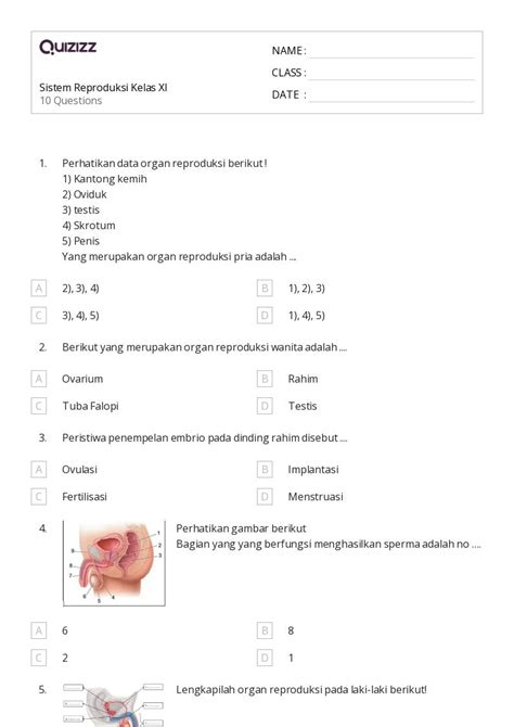 50 Lembar Kerja Sistem Reproduksi Untuk Kelas 11 Di Quizizz Gratis