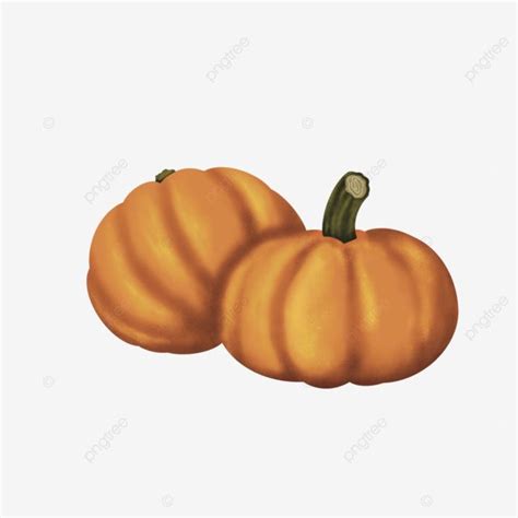 Simple Pumpkin Halloween Pumpkin Halloween Halloweenday PNG