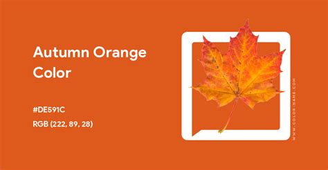 Autumn Orange Color Hex Code Is De591c