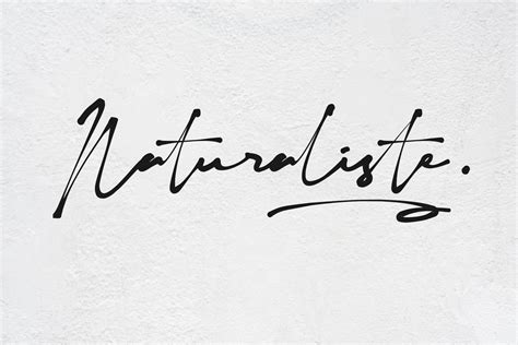 Naturaliste By Mozyen Studio Thehungryjpeg