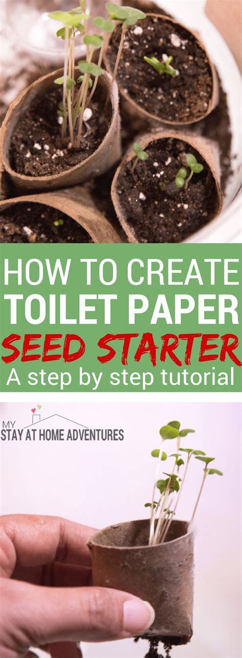 This Toilet Paper Seed Starter Tutorial Is All You Need To Seed