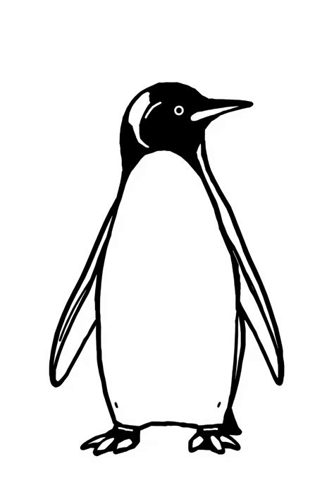 12 Penguin Drawing Ideas Various Styles And Skill Levels
