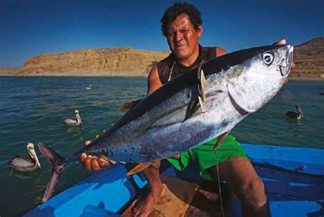 Oficializan Evento “pescador Artesanal Del Año 2024” A Realizarse A