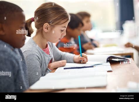 Focused Learner Hi Res Stock Photography And Images Alamy
