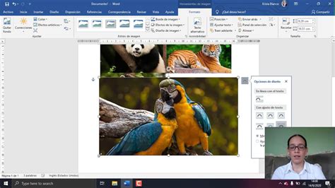 Collage De Fotos En Microsoft Word Youtube