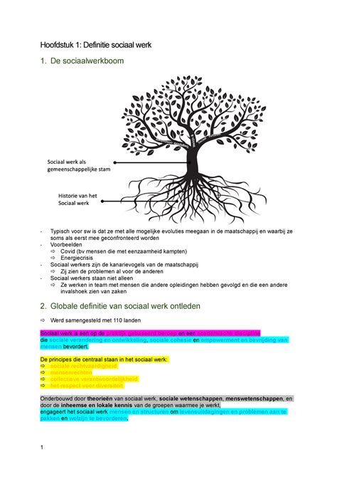 Samenvatting Sociaal Werk Hoofdstuk 1 Definitie Sociaal Werk 1 De