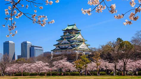 Best Places to See Cherry Blossoms in Osaka | Travelodge Hotels Asia