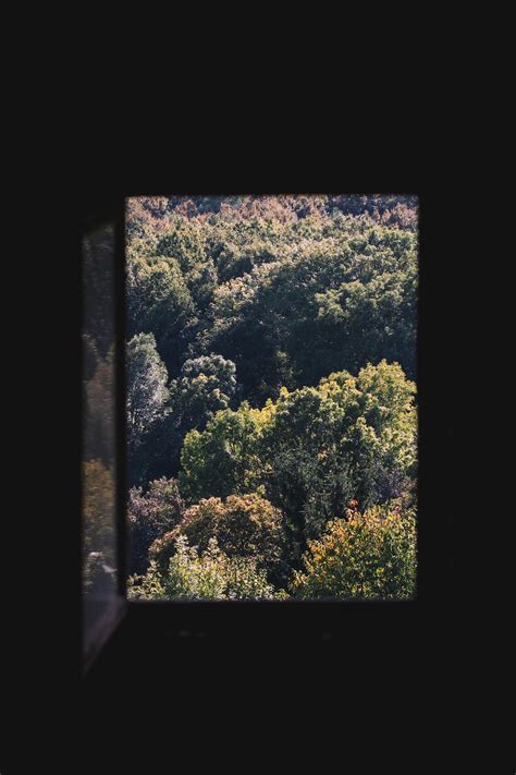 View of the Forest from a Window · Free Stock Photo