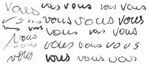 french word vous written  times   scientific diagram