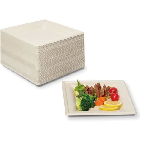 Assiettes Jetable Assiette Carré Carton 60 Pièces 20 3cmx20 3cm