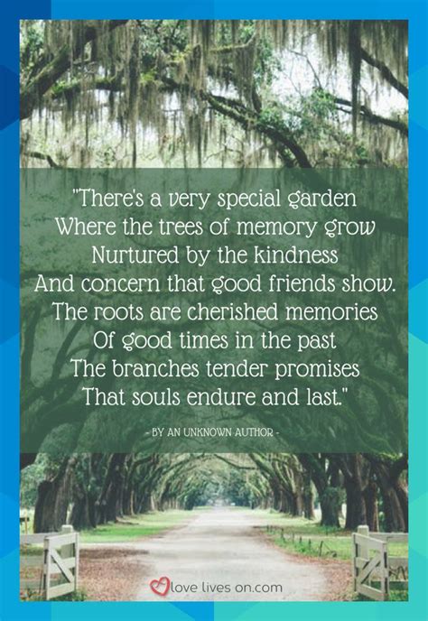 Planting A Memorial Tree Is A Beautiful Way To Celebrate The Life Of A