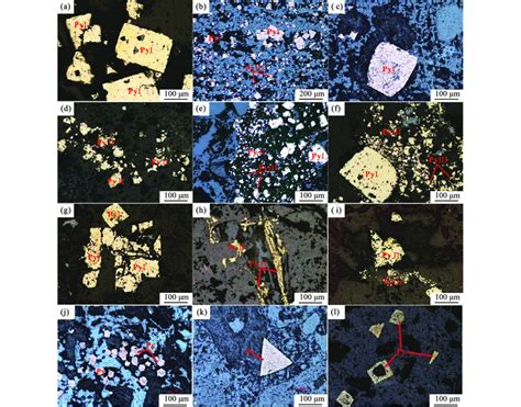 Representative Photomicrographs In Reflected Light Showing The Crystal