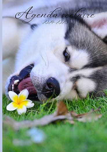 Agenda Scolaire Chien Pour Filles Et Gar Ons Pour La