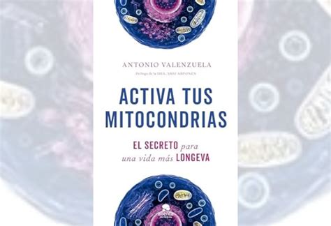 Activa Tus Mitocondrias Secreto Para Vida M S Longeva