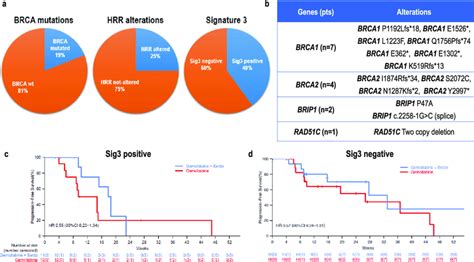 Correlation Of Biomarkers Of Homologous Recombination Repair Deficiency Download Scientific