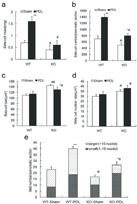 Expansion Of Beta Cell Mass Is Impaired In Ripcre Survivin Flfl Mice