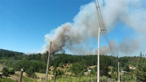 Declaran Alerta Roja Por Incendios Forestales En Santa Juana La Tribuna