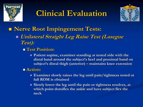 Ppt Thoracic And Lumbar Spine Special Tests And Pathologies